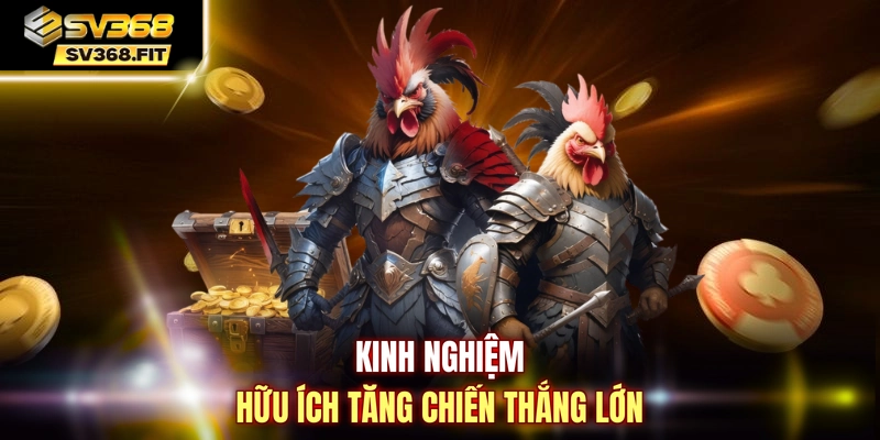 Kinh nghiệm hữu ích tăng chiến thắng lớn